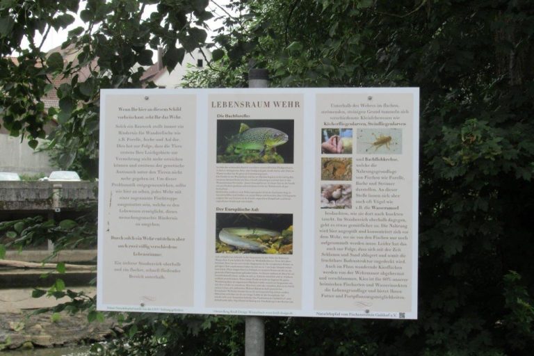 Infotafeln Infotafeln