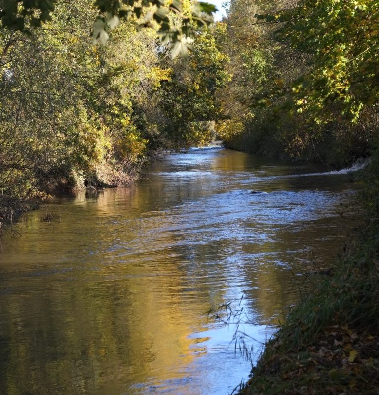 Kocher bei Schönberg